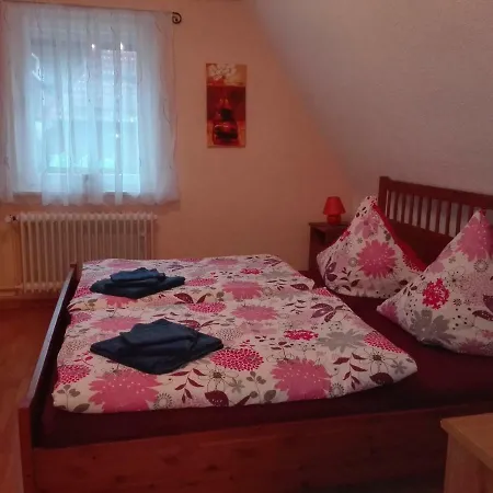 Adam's Apartment *